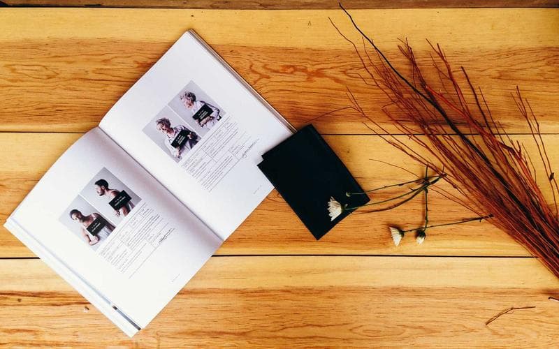 Cách Chọn Vợt Pickleball Đầu Tiên