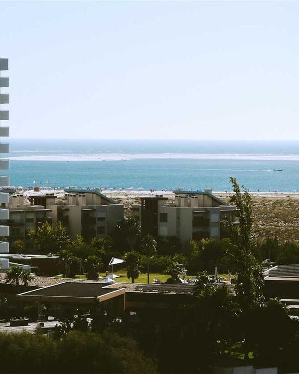 Red Paddle Collectors Case